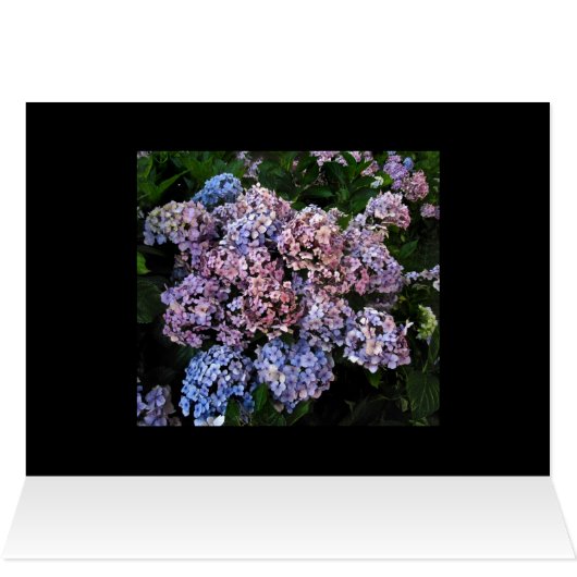 Dusky Hydrangeas (Inside Horizontal (Top))