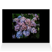 Dusky Hydrangeas Cards (Inside Horizontal (Top))
