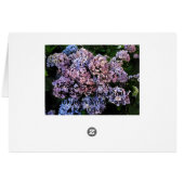 Dusky Hydrangeas Cards (Back Horizontal)