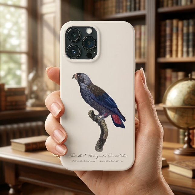 Dusky Parrot or Dusky Pionus, Pionus fuscus Case-Mate iPhone Case (Dusky Parrot or Dusky Pionus, Pionus fuscus. iPhone Case)