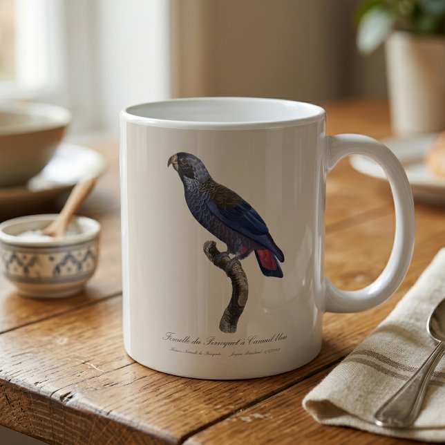 Dusky Parrot or Dusky Pionus, Pionus fuscus Coffee Mug (Dusky Parrot or Dusky Pionus, Pionus fuscus. Coffee Mug)