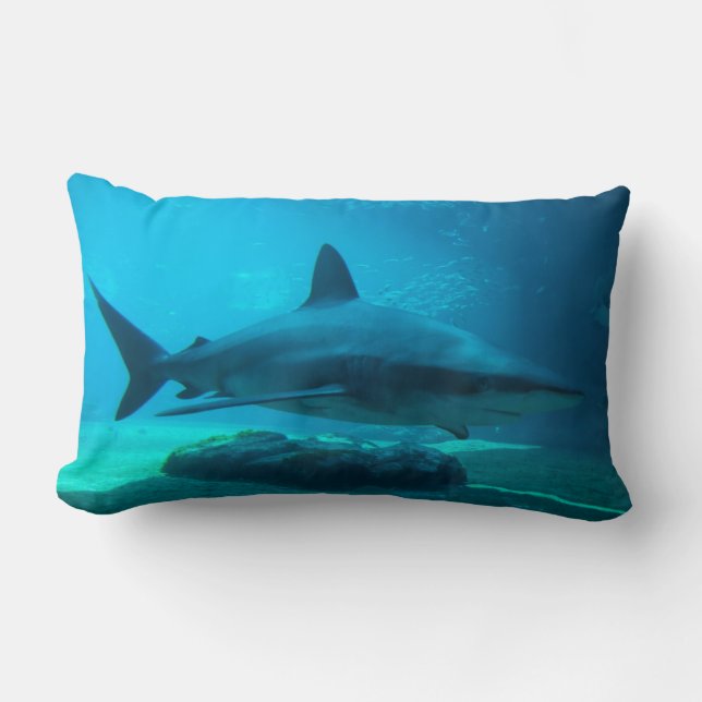Dusky Shark (Carcharhinus Obscurus), Ushaka Lumbar Pillow (Front)