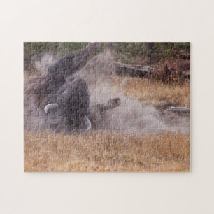 Dust Bathting American Bison Bull Wildlife Puzzle