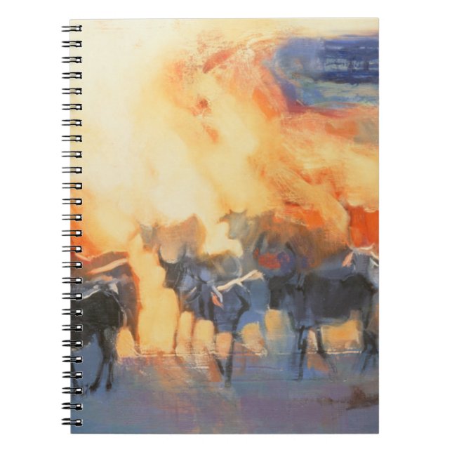 Dust Cloud Drung 1996 Notebook (Front)
