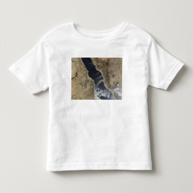 Dust plumes blow off the coast of Saudi Arabia Toddler T-shirt (Front)