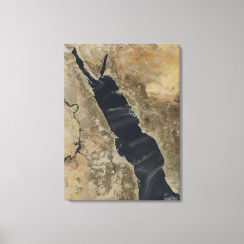 Dust plumes over the Red Sea Canvas Print