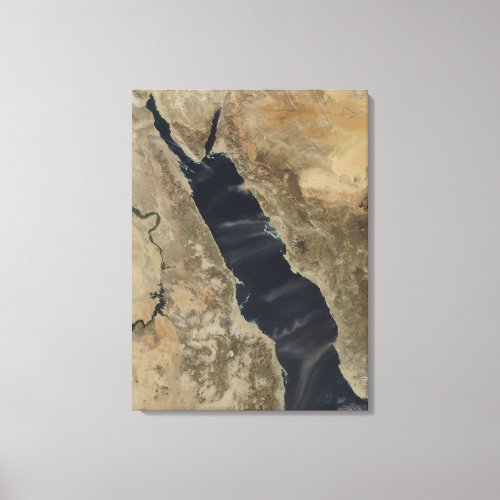 Dust plumes over the Red Sea Canvas Print