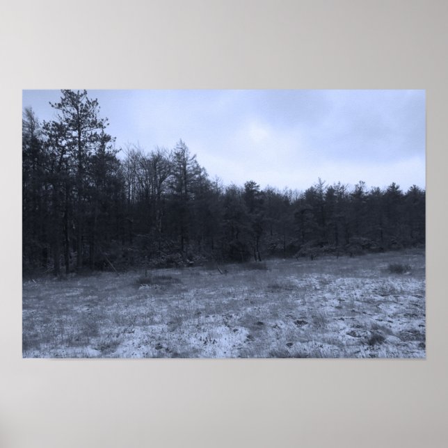 Dusting of Snow at the Bog Poster (Front)