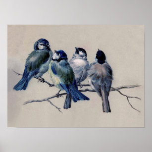 Dusty Blue and Gray Birds on a Branch Watercolor Poster