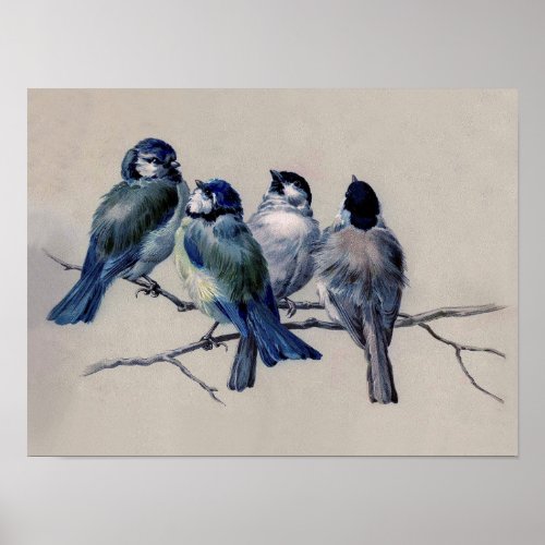 Dusty Blue and Gray Birds on a Branch Watercolor Poster