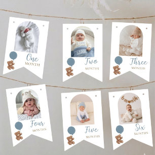 Dusty Blue Bear Monthly Photo Bunting Flags