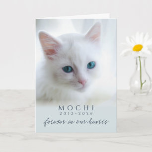 Dusty Blue Forever In Our Hearts Cat Memorial Card