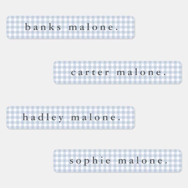 Dusty Blue Gingham Waterproof Name Labels (Group)