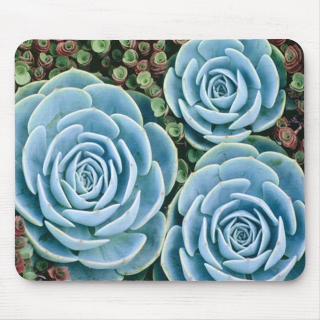 Dusty Blues Mousepad (Front)