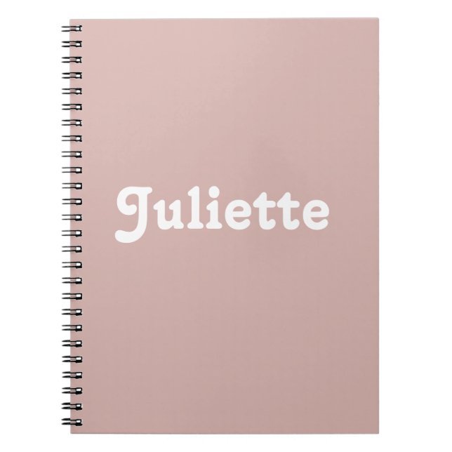 Dusty Blush Notebook (Front)