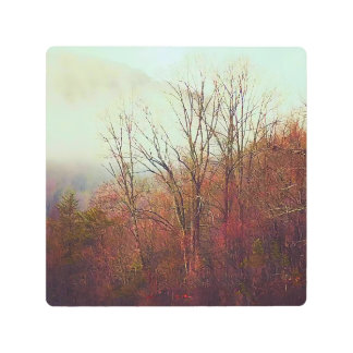 Dusty Foggy Day in Georgia Metal Print