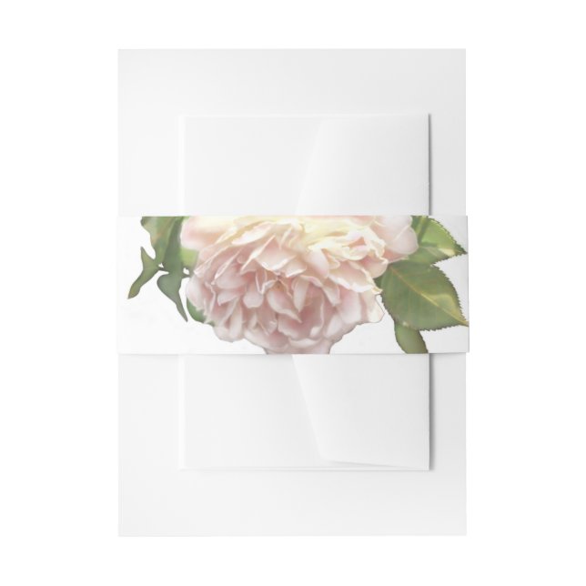 Dusty Ivory white elegant Rose  Invitation Belly Band (Front Example)