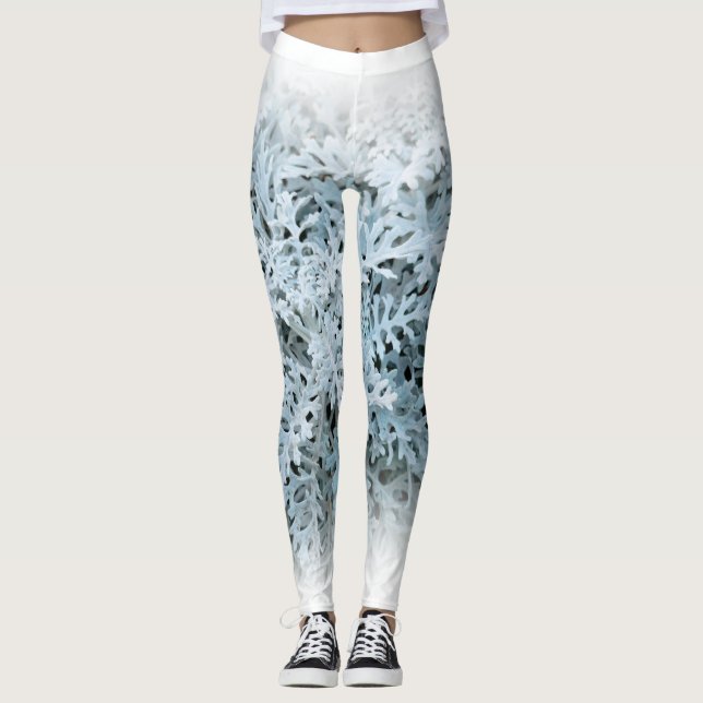 Dusty Miller / Silver Ragwort Leggings (Front)