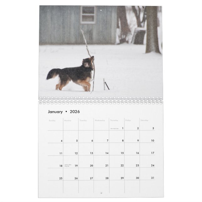 Dusty & Polu 2011 Calendar (Jan 2026)