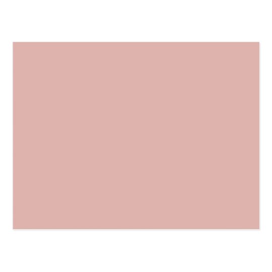  Dusty  Rose  Pale Pink  Solid Trend Color  Background Postcard 