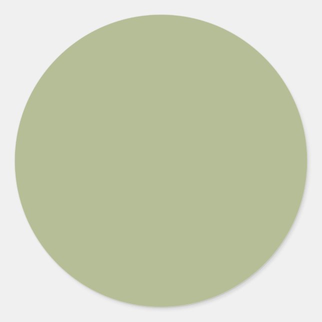 Dusty Sage Green Solid Color Classic Round Sticker (Front)
