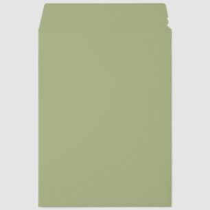 Dusty Sage Green Solid Color Envelope Mailers