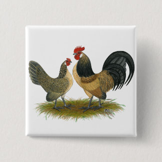 Dutch Bantam: Blue Quail Pinback Button