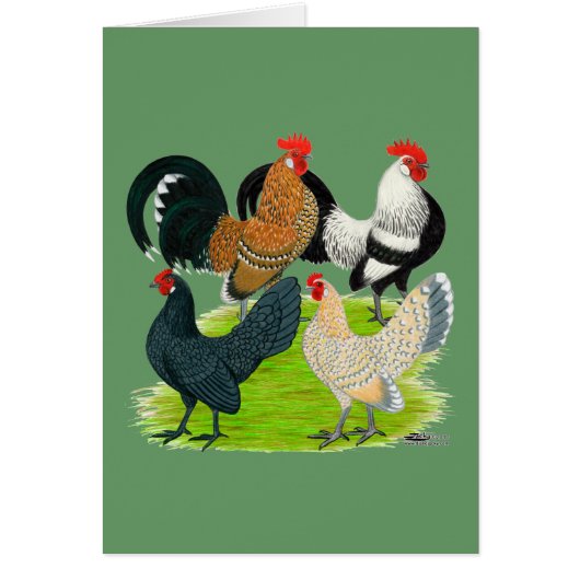Dutch Bantam Quartet Cards (Front)