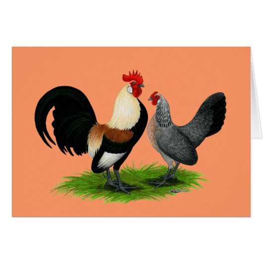 Dutch Bantams: Cream Light Brown Cards (Front Horizontal)