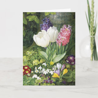 Dutch Bulb Spring Flowers Card