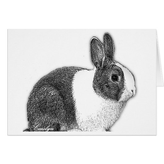 Dutch Bunny Cards (Front Horizontal)