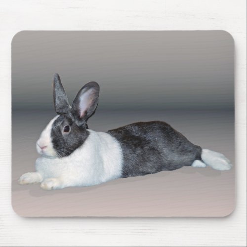 Dutch Bunny Relaxing Mouse Pad