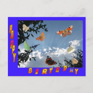 Dutch Butterflies Blue Frame Birthday Postcard