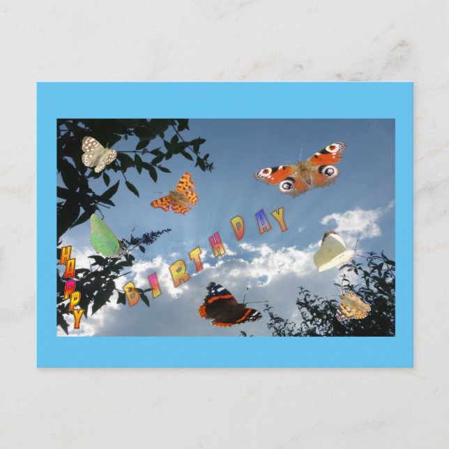 Dutch Butterflies Cust. Frame Birthday Postcard (Front)