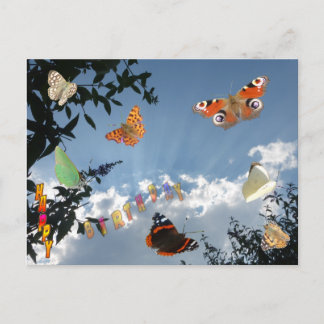 Dutch Butterflies Happy Birthday Postcard
