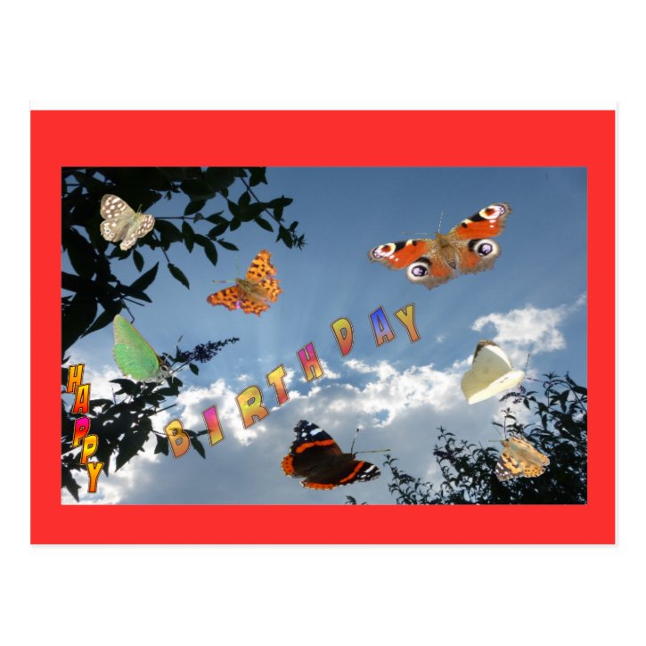 Dutch Butterflies Red Happy Birthday Postcard