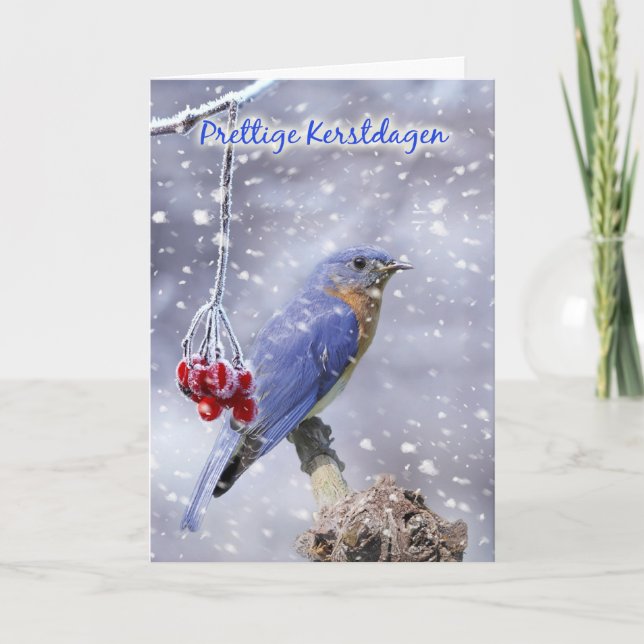 dutch christmas card - blue bird with berries and (Front)