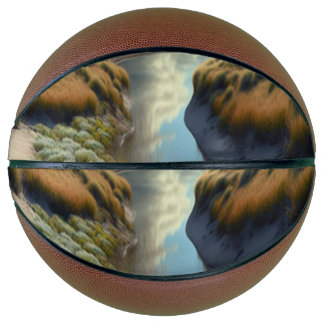 Dutch Coastal Dunes Basketball