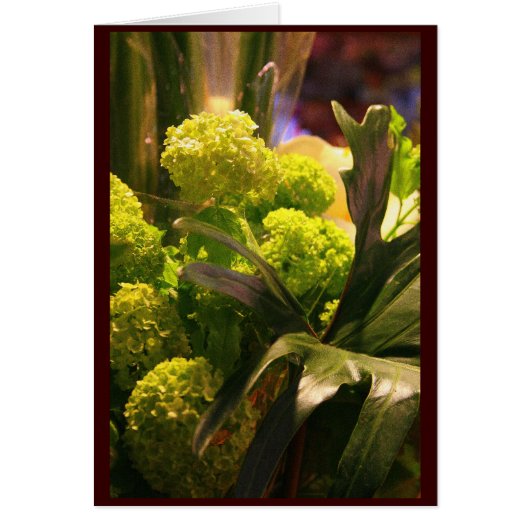 Dutch flowers cards (Front)