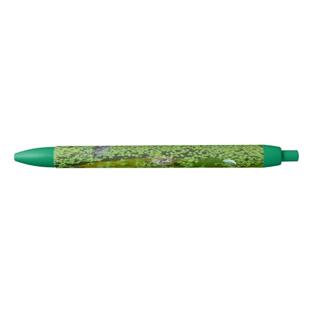 Dutch Frogs surrounded by Duckweed Pen (Front)