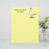 Dutch Helmet Pigeon (Standing Front)