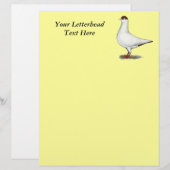 Dutch Helmet Pigeon (Front/Back)