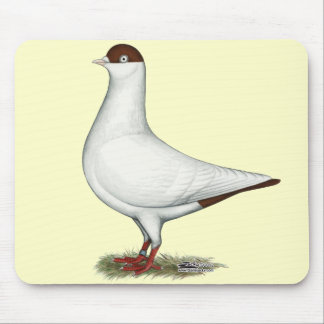 Dutch Helmet Pigeon Mouse Pad