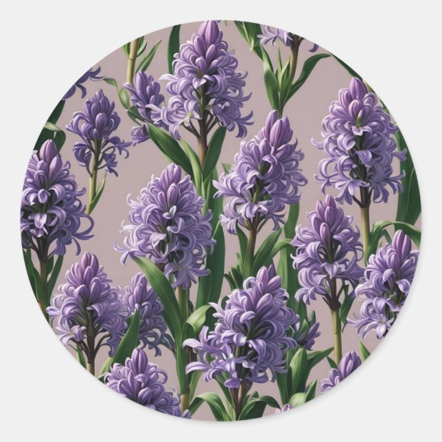 Dutch Hyacinth purple flowers Classic Round Sticker (Front)