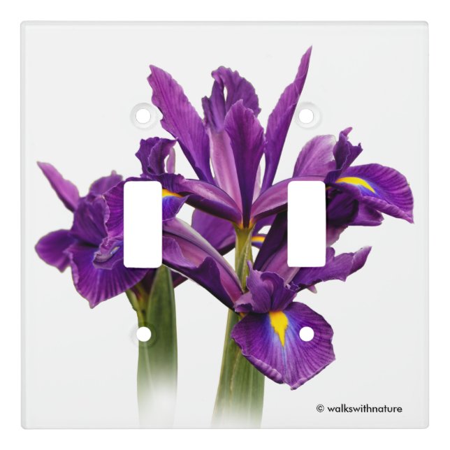 Dutch Iris Purple Sensation Light Switch Cover (Front)