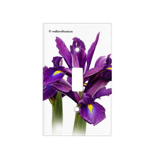 Dutch Iris Purple Sensation Light Switch Cover (Front)