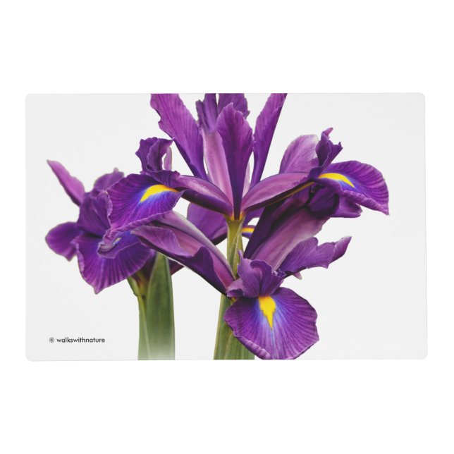 Dutch Iris Purple Sensation Placemat (Front)