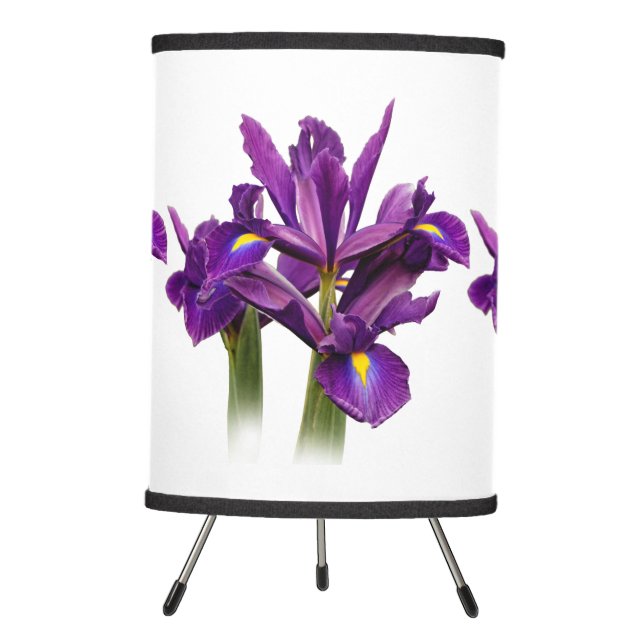 Dutch Iris Purple Sensation Tripod Lamp (Front)
