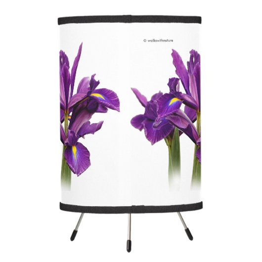 Dutch Iris Purple Sensation Tripod Lamp (Back)