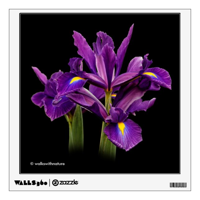 Dutch Iris Purple Sensation Wall Decal (Front)